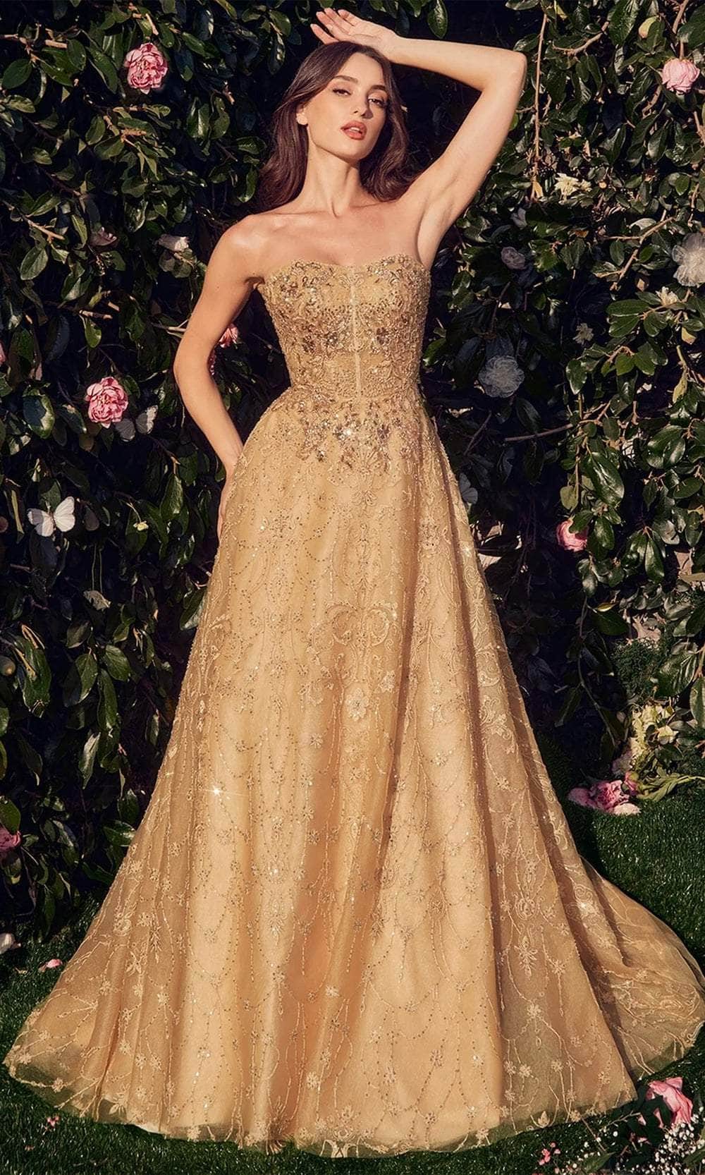 Andrea and Leo MA104 - Long Tulle A-Line Dress - Long Sleeve Bolero, Embroidered, Beaded, Midrise Back, Train ADASA Andrea and Leo MA104 - Long Tulle A-Line Dress - Long Sleeve Bolero, Embroidered, Beaded, Midrise Back, Train ADASA
