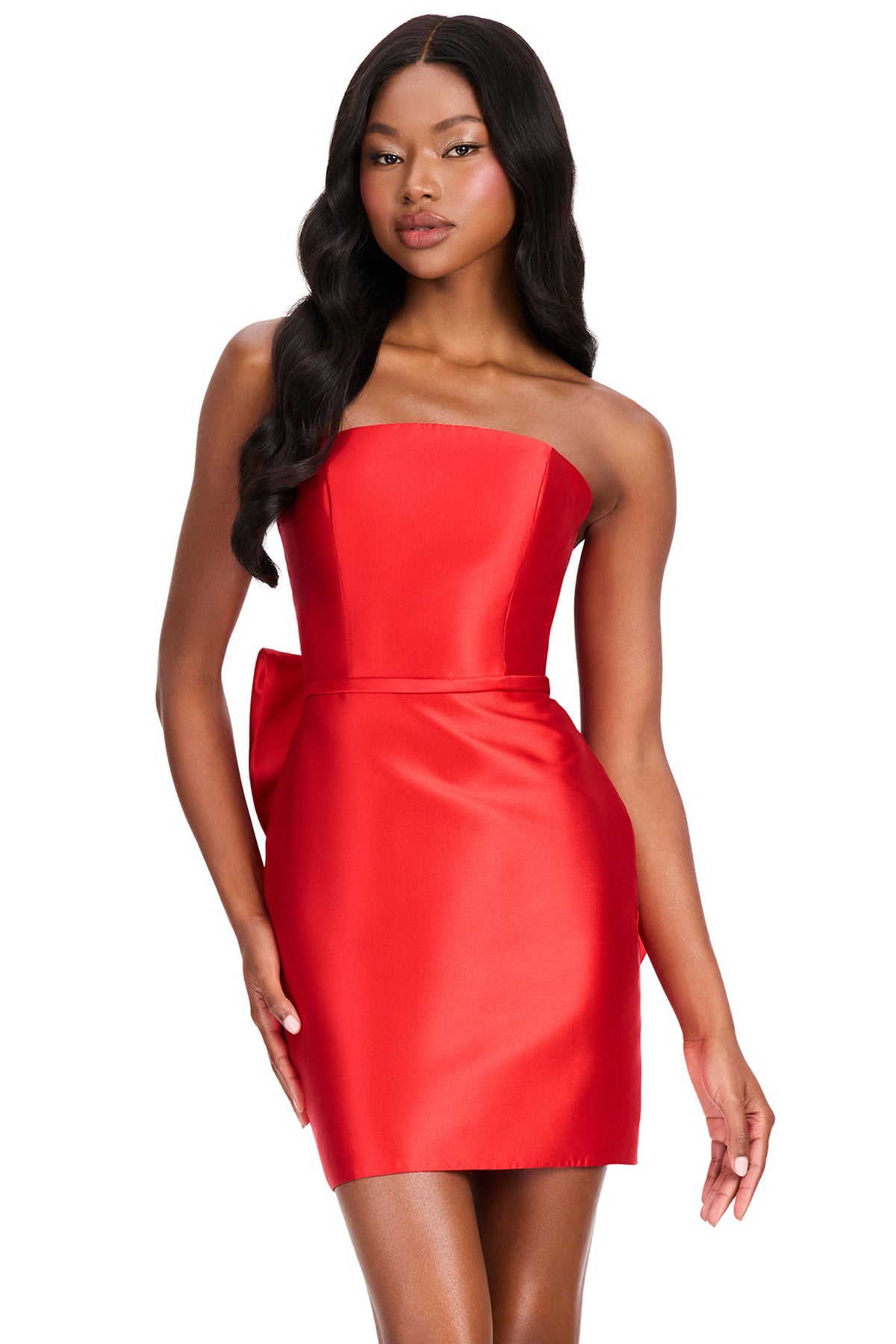 Ashley Lauren 40024 - Straight Neck Minimalist Fitted Cocktail Dress