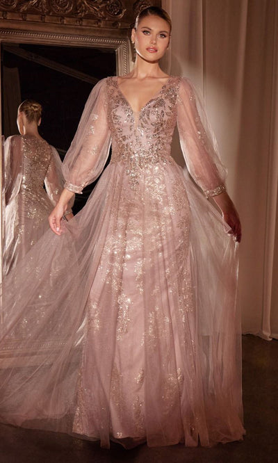 Ladivine CD0102 - Applique A-Line Tulle Gown