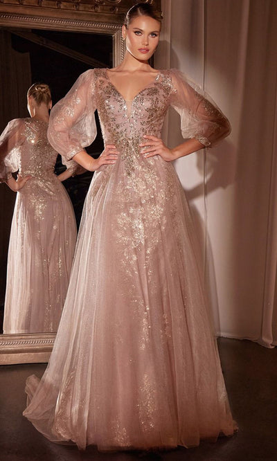 Ladivine CD0102 - Applique A-Line Tulle Gown