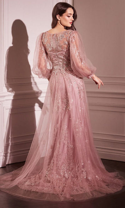 Ladivine CD0102 - Applique A-Line Tulle Gown