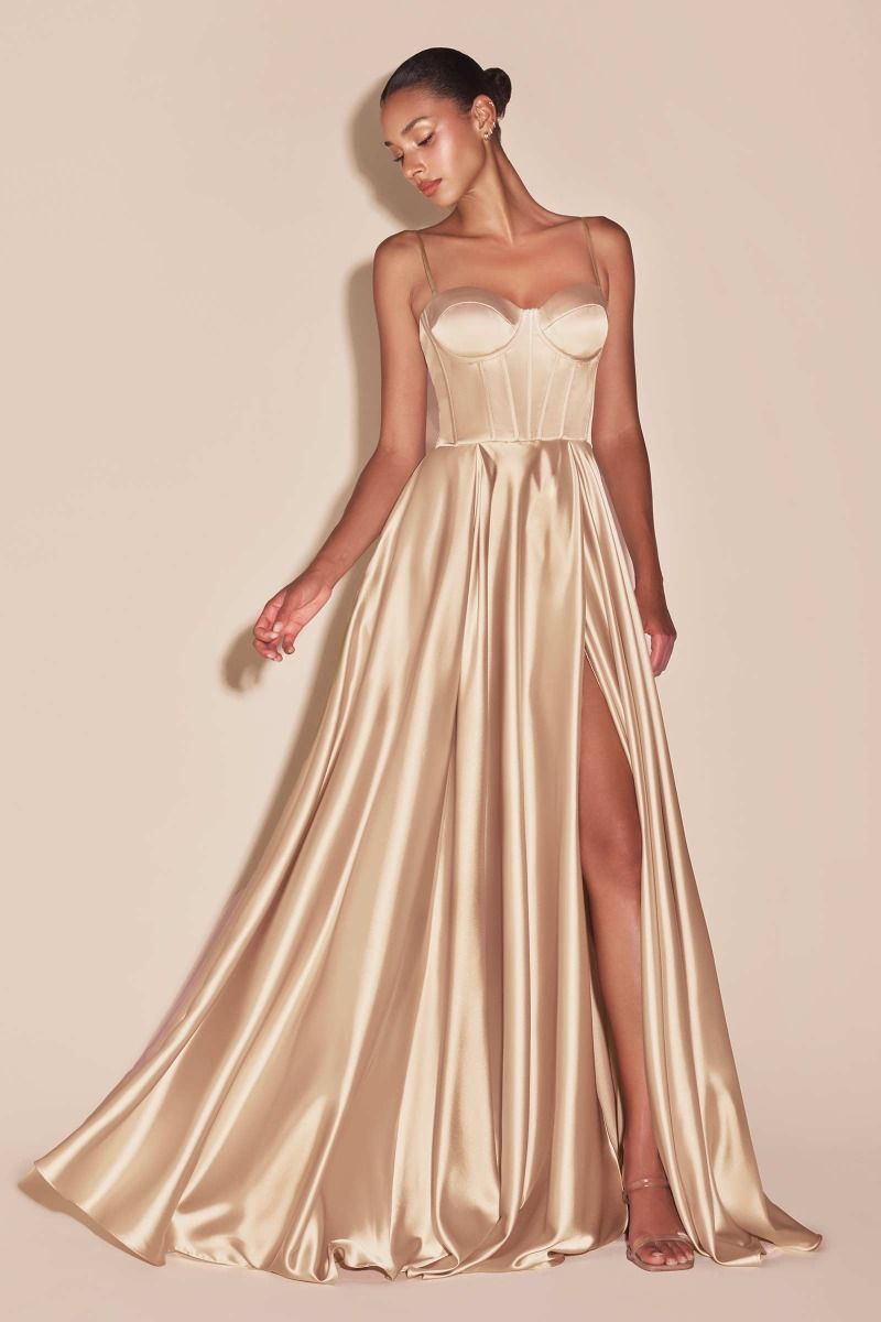 Ladivine CD337 - Pleated A-Line Prom Gown