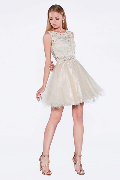 Cinderella Divine - CD0117 Sleeveless Lace Bodice Tulle A-Line Cocktail Dress Special Occasion Dress