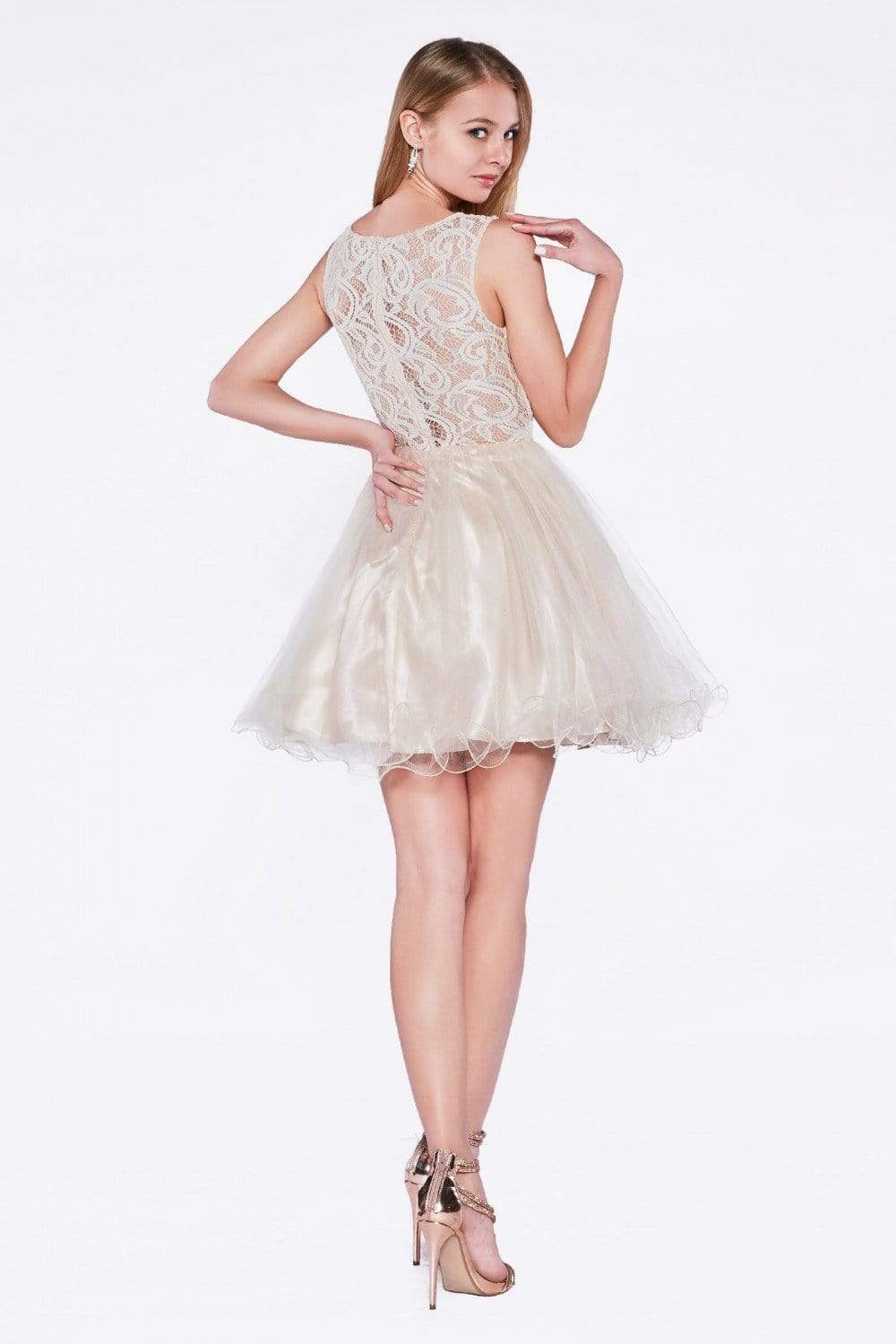 Cinderella Divine - CD0117 Sleeveless Lace Bodice Tulle A-Line Cocktail Dress Special Occasion Dress