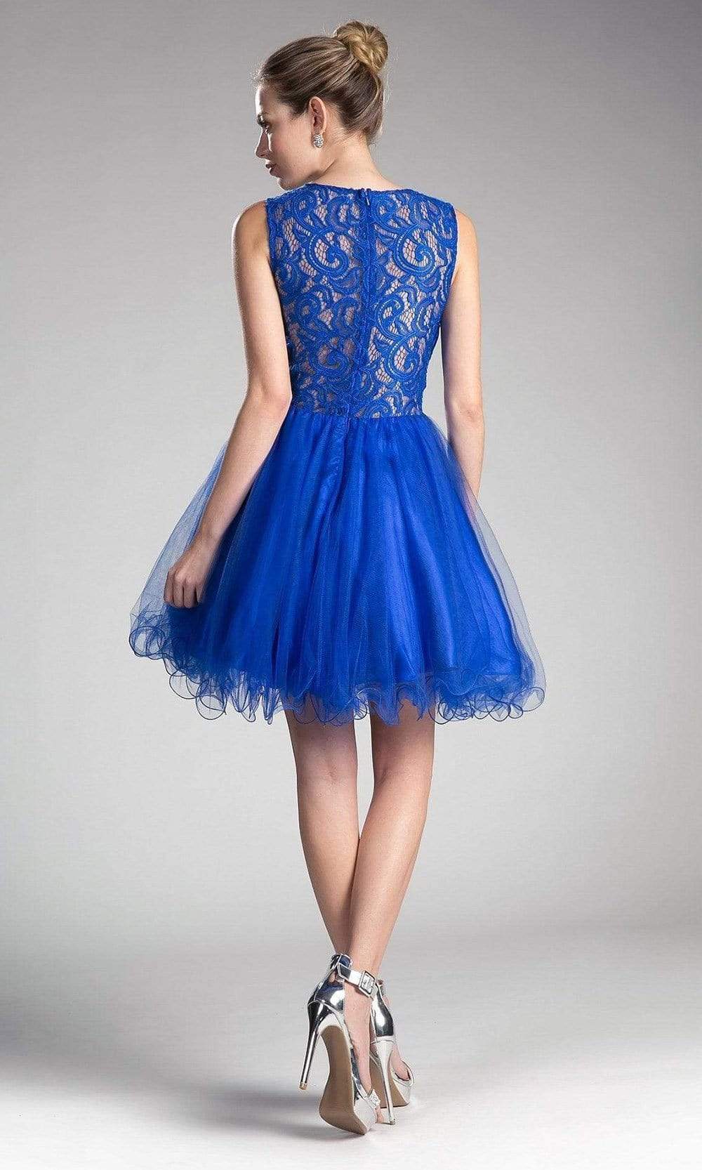 Cinderella Divine - CD0117 Sleeveless Lace Bodice Tulle A-Line Cocktail Dress Special Occasion Dress