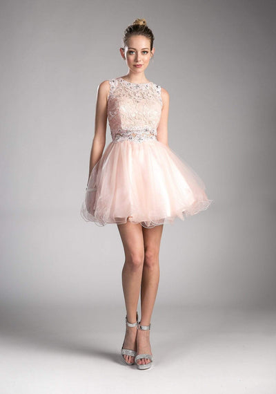 Cinderella Divine - CD0117 Sleeveless Lace Bodice Tulle A-Line Cocktail Dress Special Occasion Dress XXS / Blush