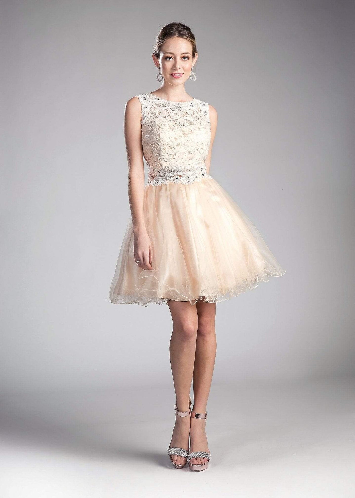 Cinderella Divine - CD0117 Sleeveless Lace Bodice Tulle A-Line Cocktail Dress Special Occasion Dress XXS / Champagne