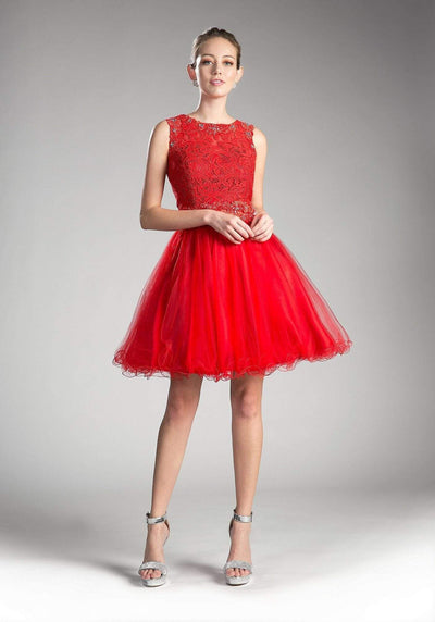 Cinderella Divine - CD0117 Sleeveless Lace Bodice Tulle A-Line Cocktail Dress Special Occasion Dress XXS / Red