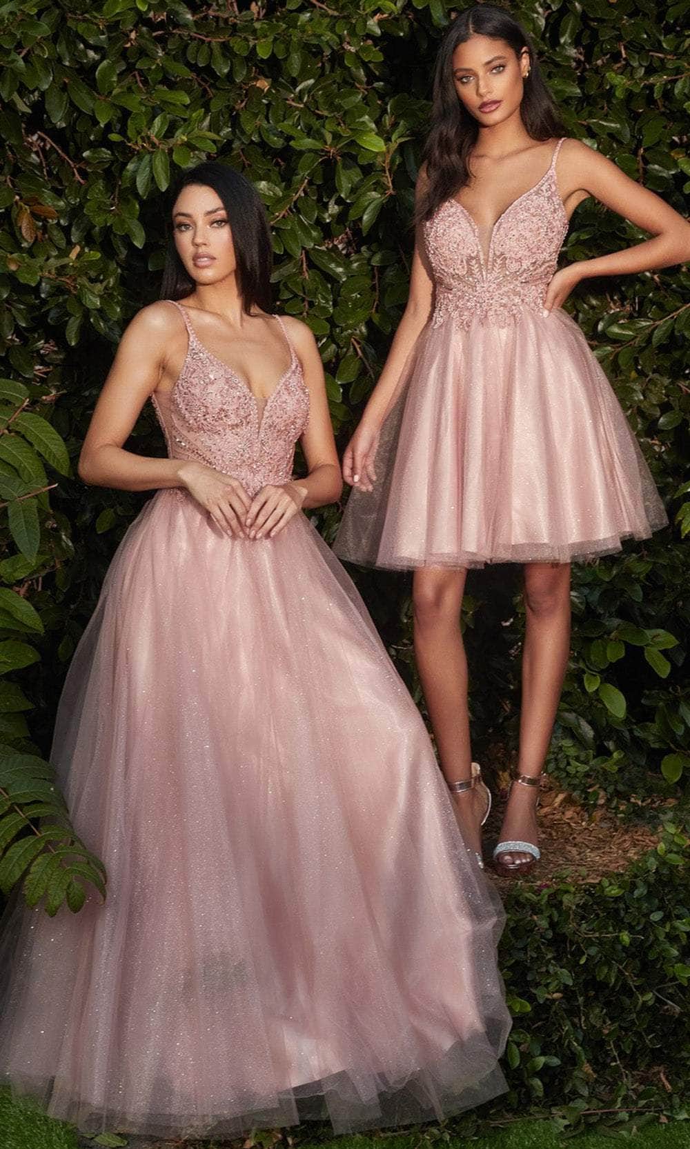 Cinderella Divine CD0195 - Embellished Lace Tulle Prom Dress Prom Dresses