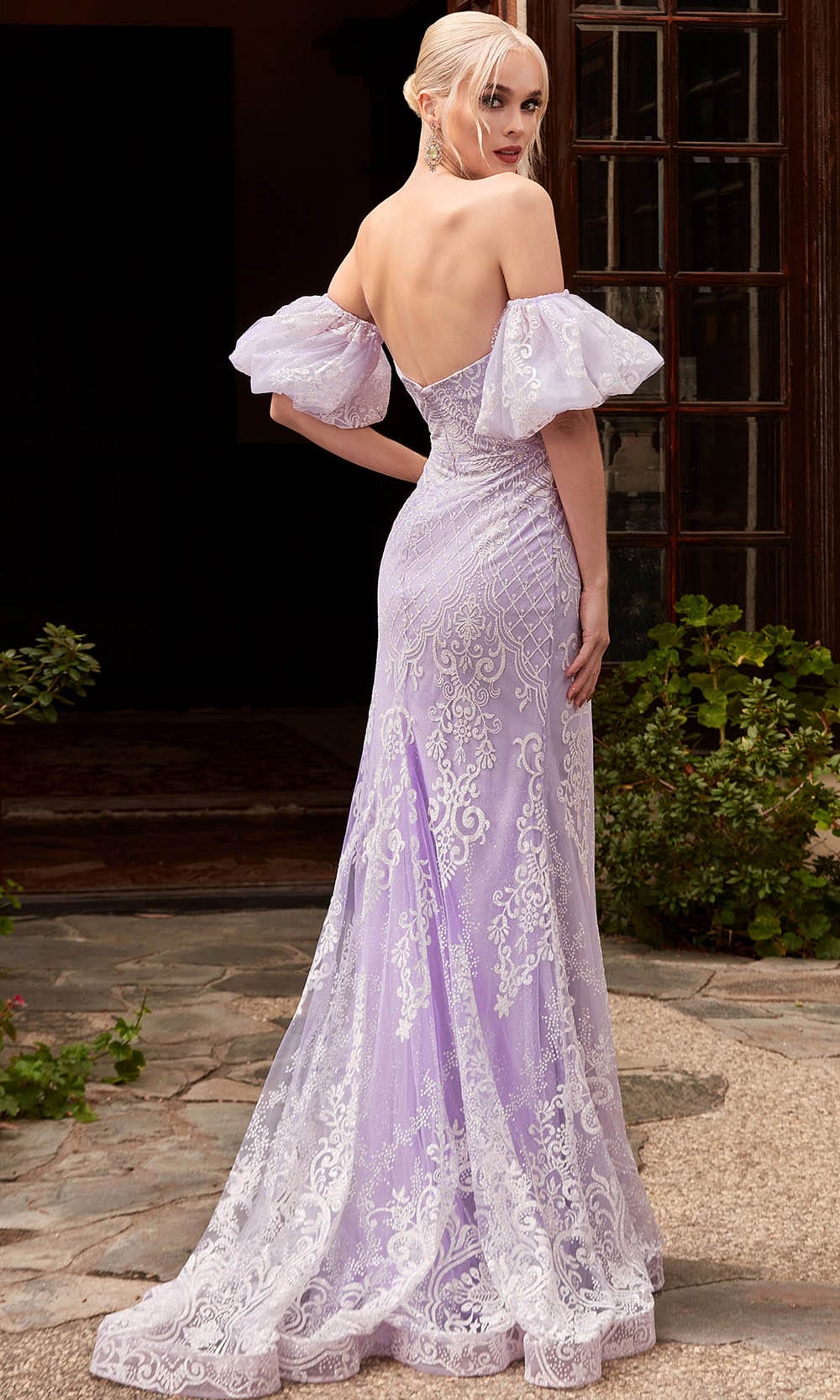 Cinderella Divine CD958 - Embroidered Formal Gown Special Occasion Dress