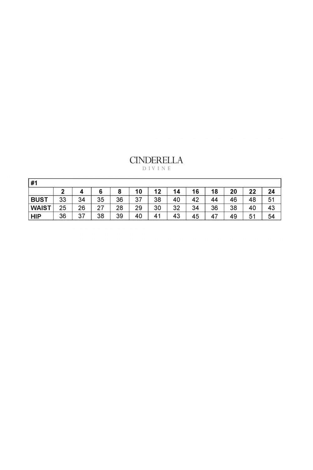 Cinderella Divine CM320 - Embroidered Bridal Gown Bridal Dresses