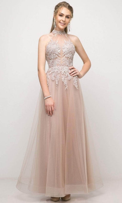 Cinderella Divine UT252 - Tulle High Neck Embroidered Gown Special Occasion Dress 4 / Mauve