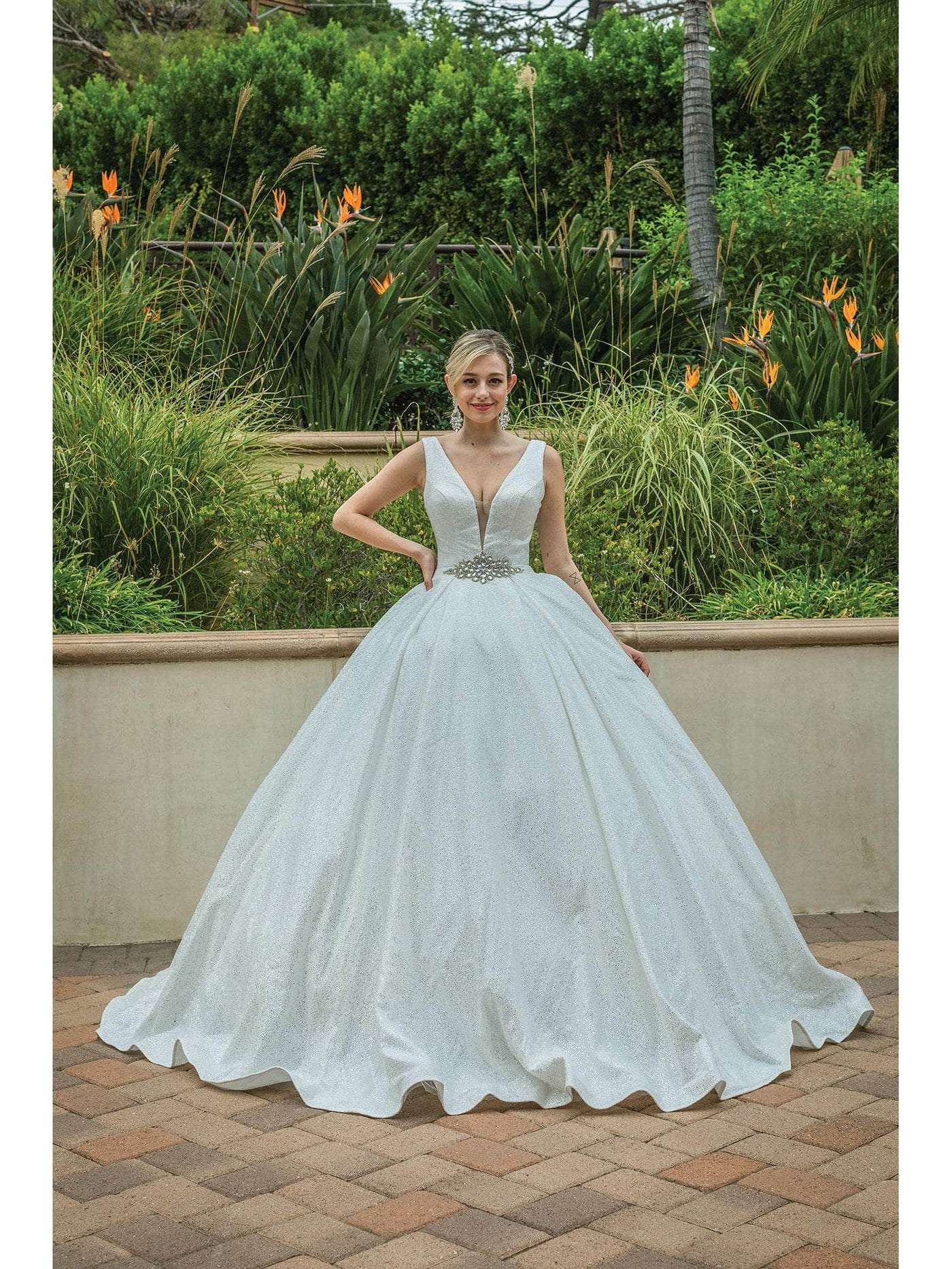 Dancing Queen 0166 - Embroidered Plunging Neck Ballgown Special Occasion Dresses