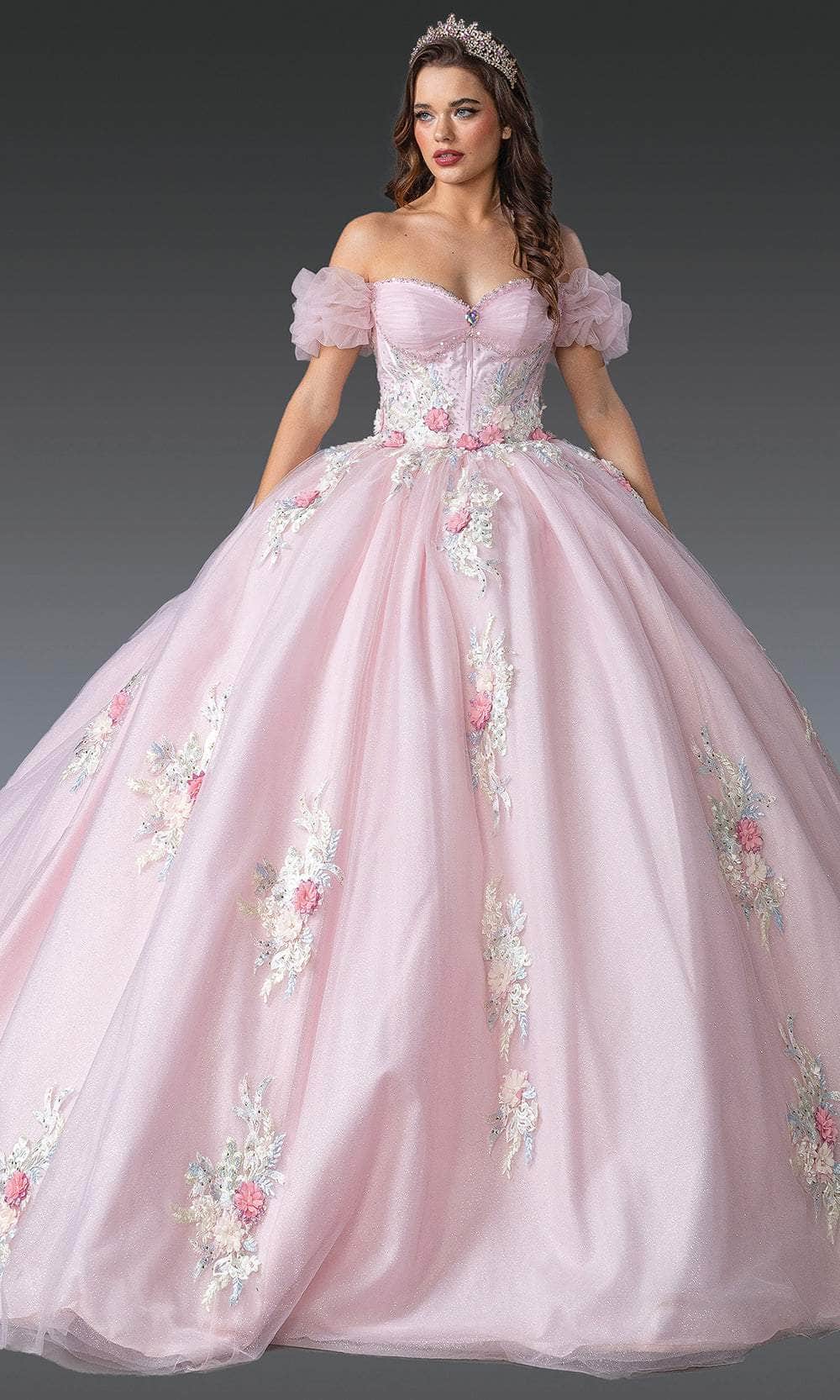 Dancing Queen 1900 - Embroidered Corset Bodice Ballgown Quinceanera Dresses XS /  Blush