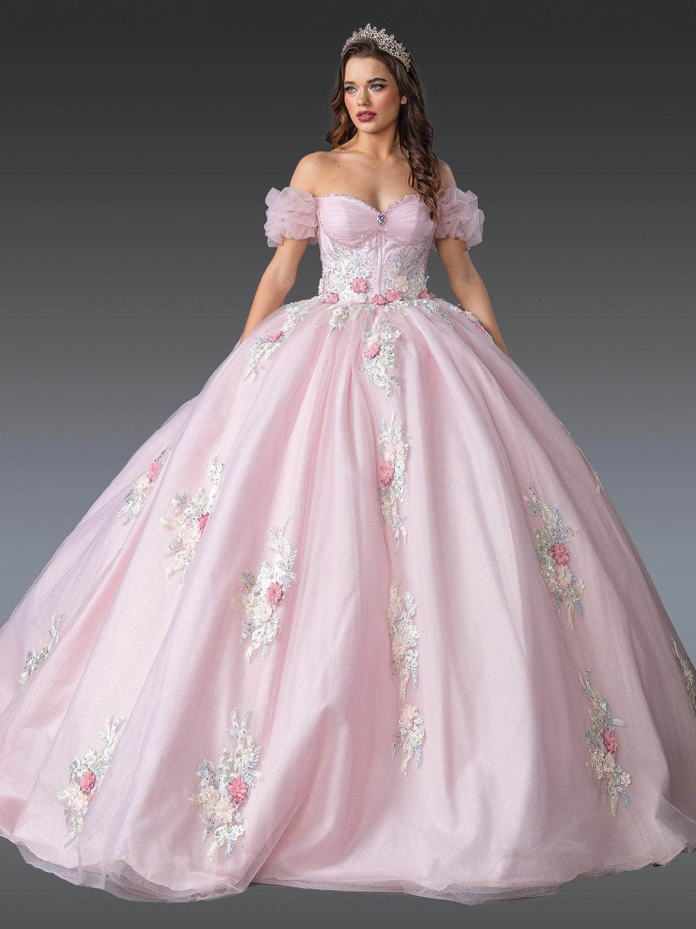 Dancing Queen 1900 - Embroidered Corset Bodice Ballgown Quinceanera Dresses