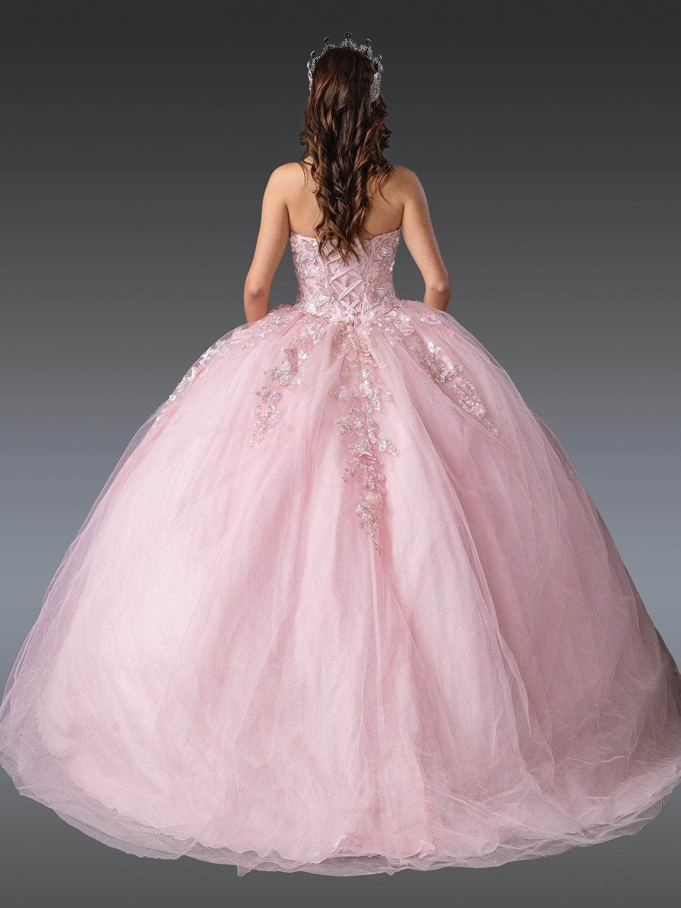Dancing Queen 1916 - Sweetheart Butterfly Tulle Ballgown Quinceanera Dresses