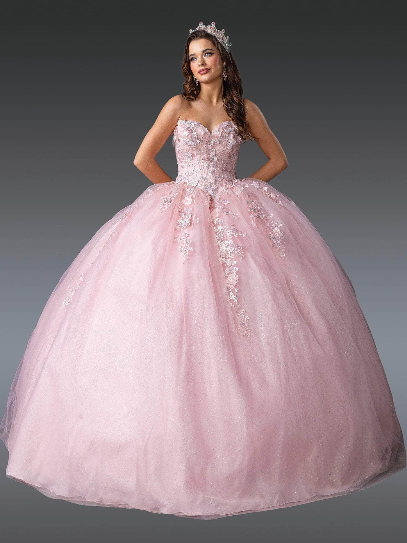 Dancing Queen 1916 - Sweetheart Butterfly Tulle Ballgown Quinceanera Dresses XS /  Blush