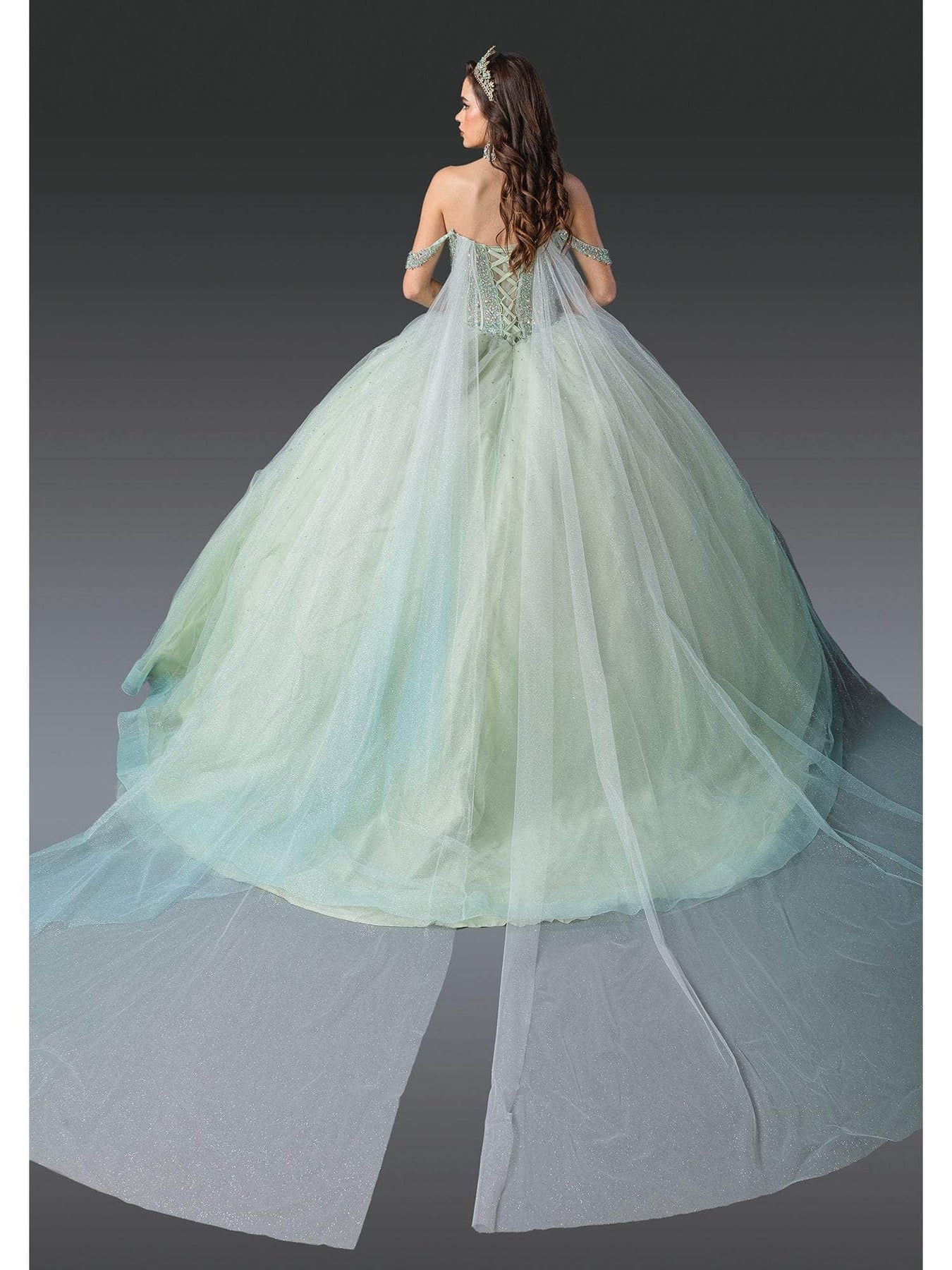 Dancing Queen 1950 Long Quinceanera Dress Mint / Large Dancing Queen 1950 Long Quinceanera Dress Mint / Large