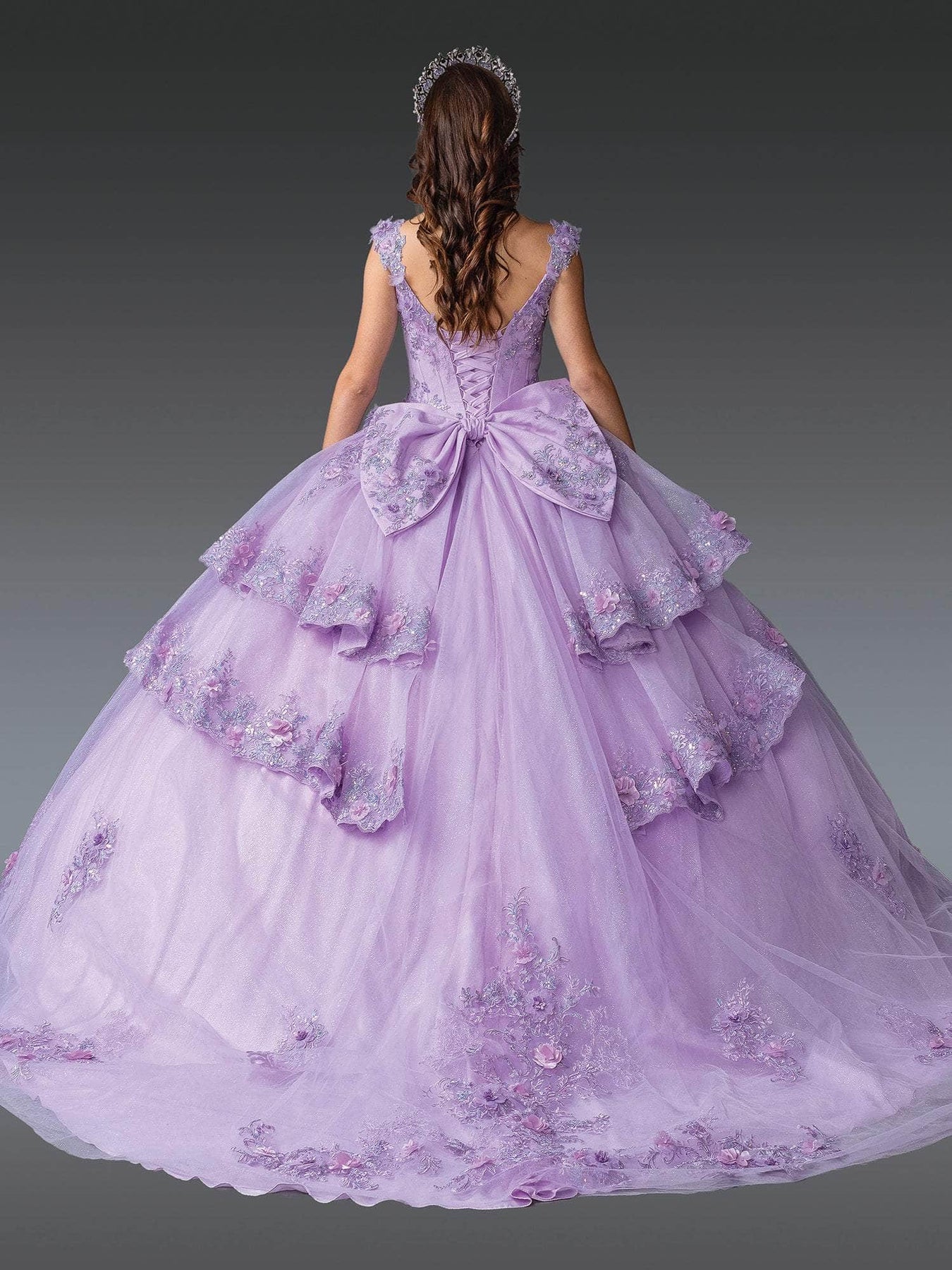 Dancing Queen 1952 - V-Neck Embroidered Quince Gown Quinceanera Dresses
