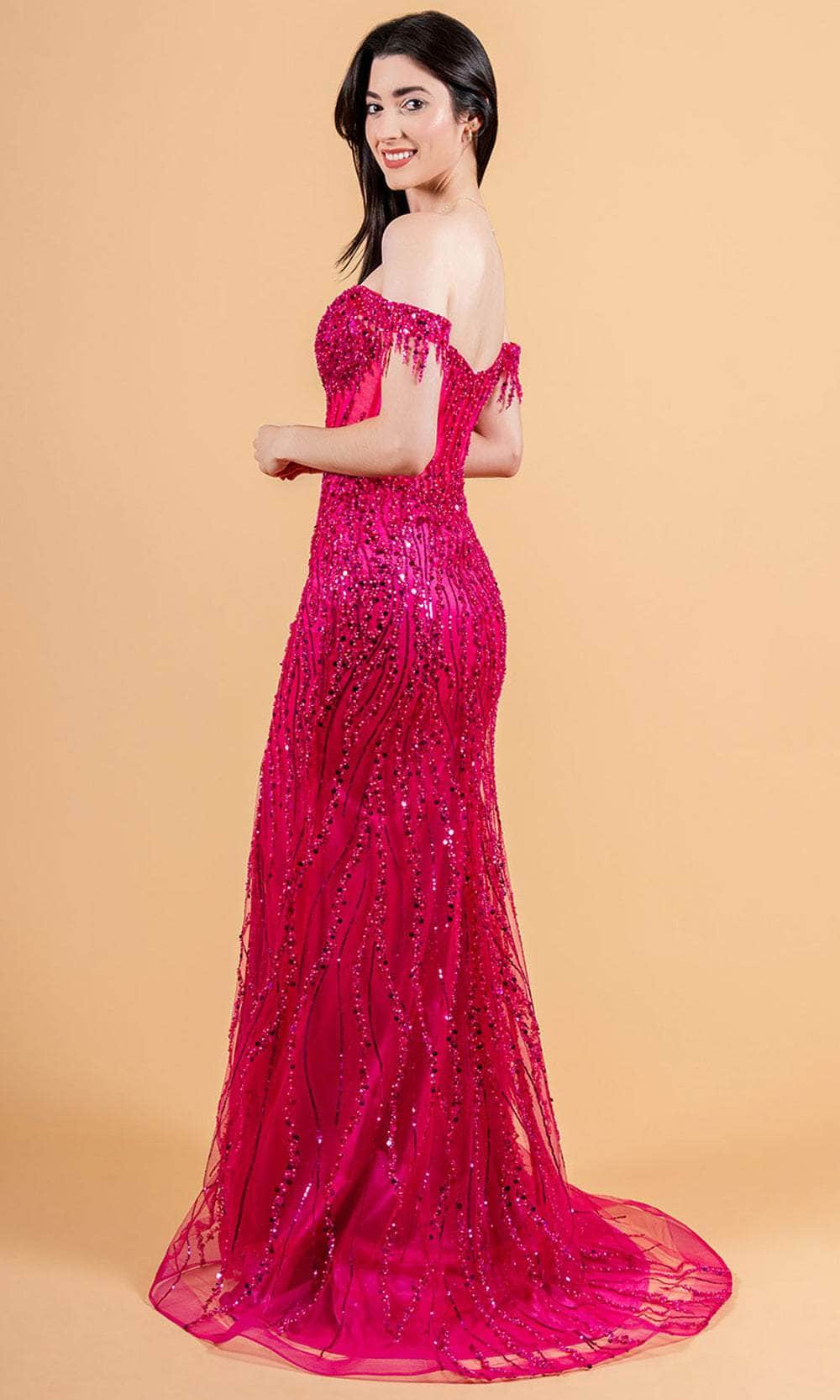 Elizabeth K GL3620 - Long Tulle Sheath Dress Elizabeth K GL3620 - Long Tulle Sheath Dress