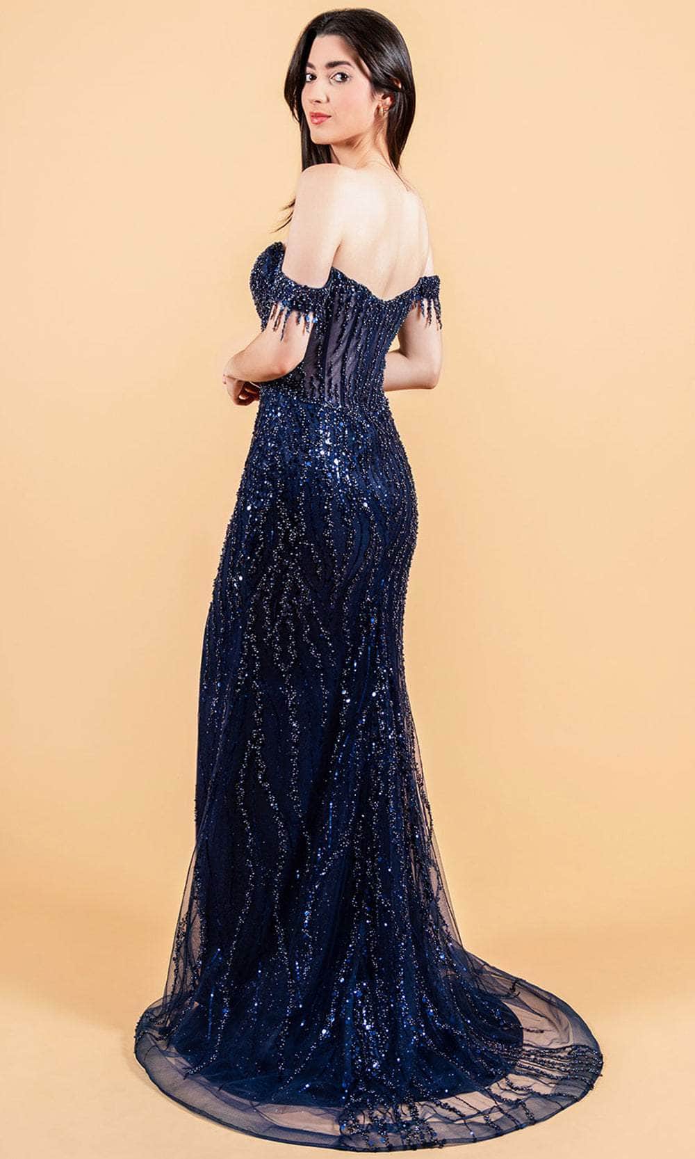 see through prom dresses Elizabeth K GL3620 - Long Tulle Sheath Dress