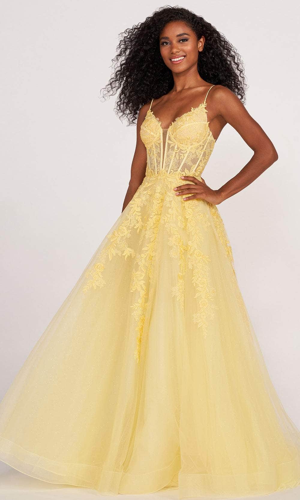 Ellie Wilde EW34036 - Long Embroidered Lace Applique, Tulle A-Line Dress