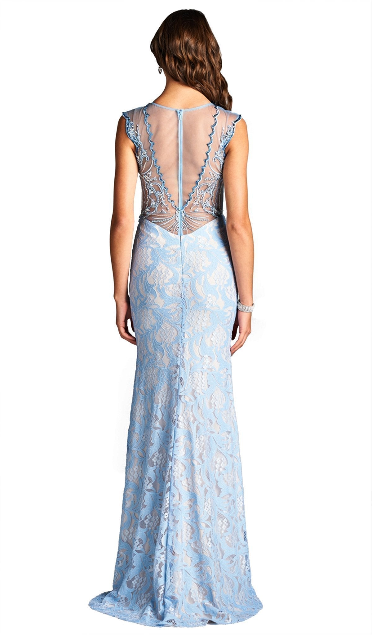 Embellished Illusion Bateau Evening Dress Dress