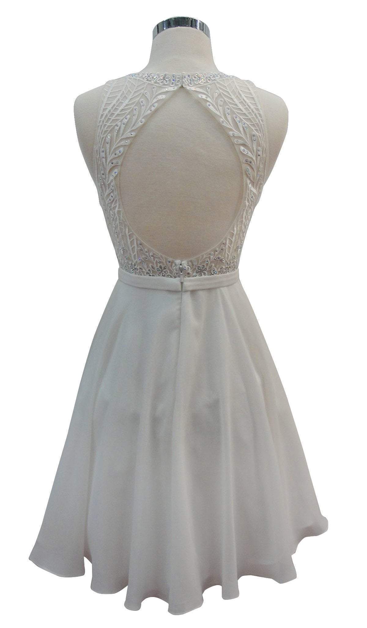 Embellished Sheer Bateau A-line Homecoming Dress Dress