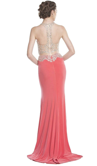 Embellished Sheer Fitted Evening Dress Dress