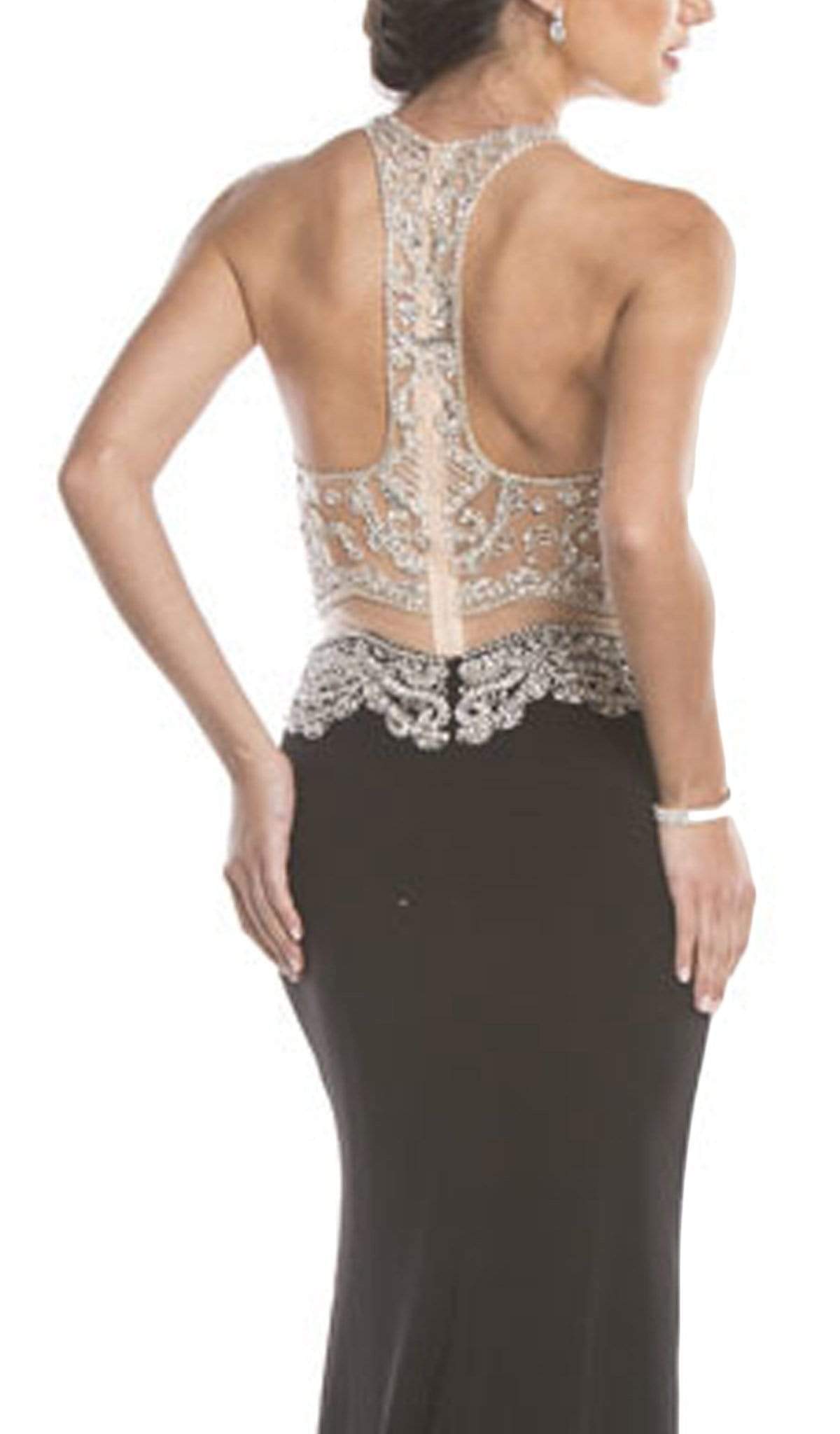 Embellished Sheer Fitted Evening Dress Dress