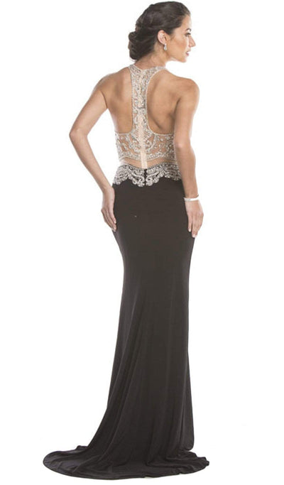 Embellished Sheer Fitted Evening Dress Dress