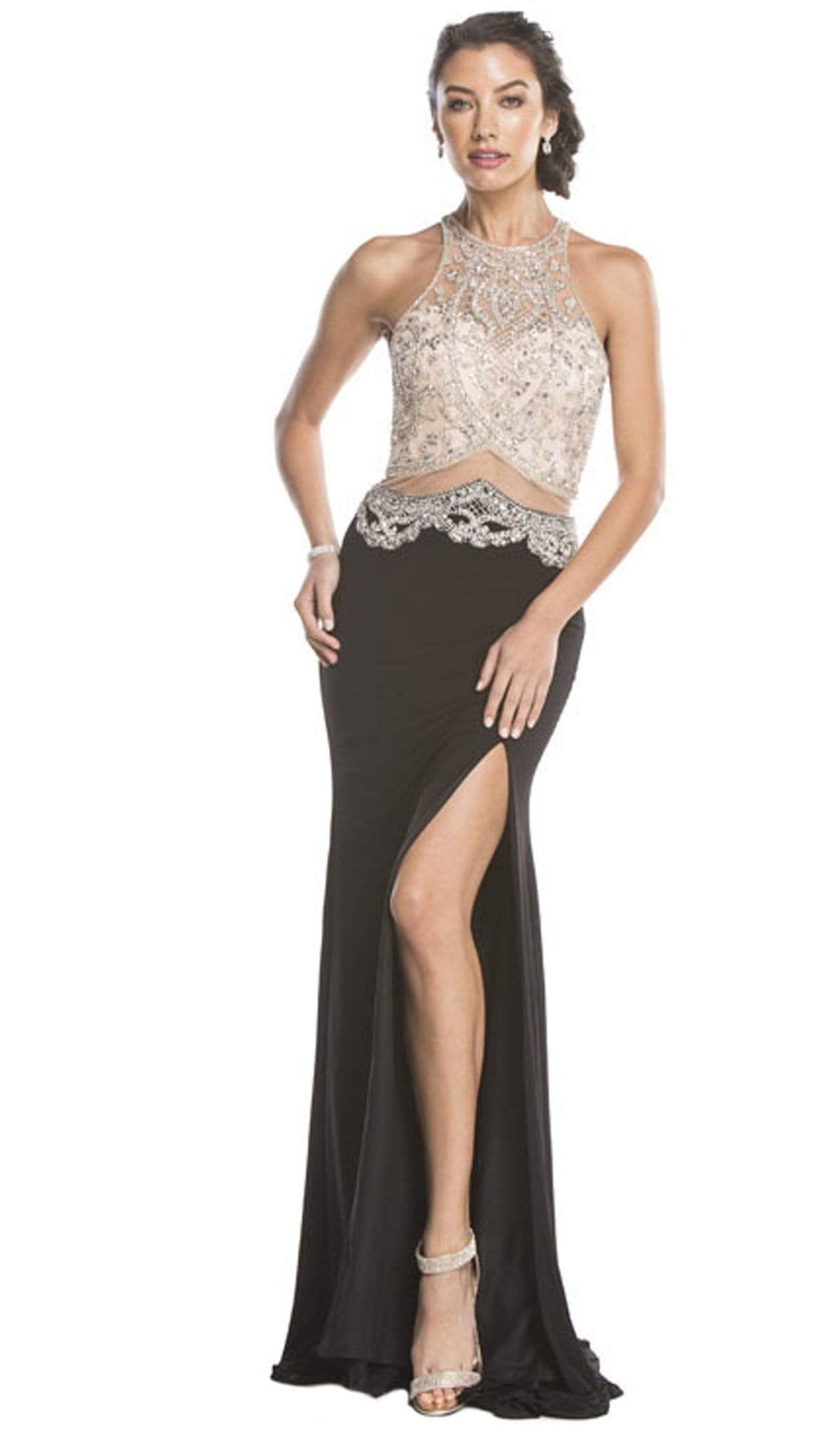 Embellished Sheer Fitted Evening Dress Dress