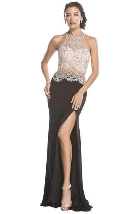 Embellished Sheer Fitted Evening Dress Dress