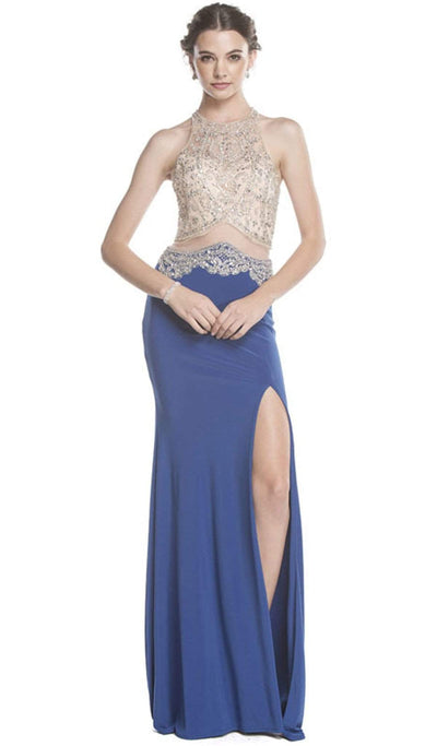 Embellished Sheer Fitted Evening Dress Dress