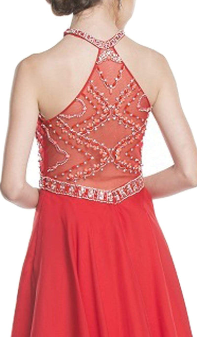 Embellished Sheer Halter A-line Homecoming Dress Dress