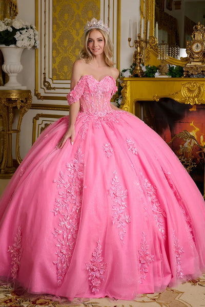 Elizabeth K GL3635 - Flower Appliqued Sheer Corset Ballgown Quinceanera Dresses
