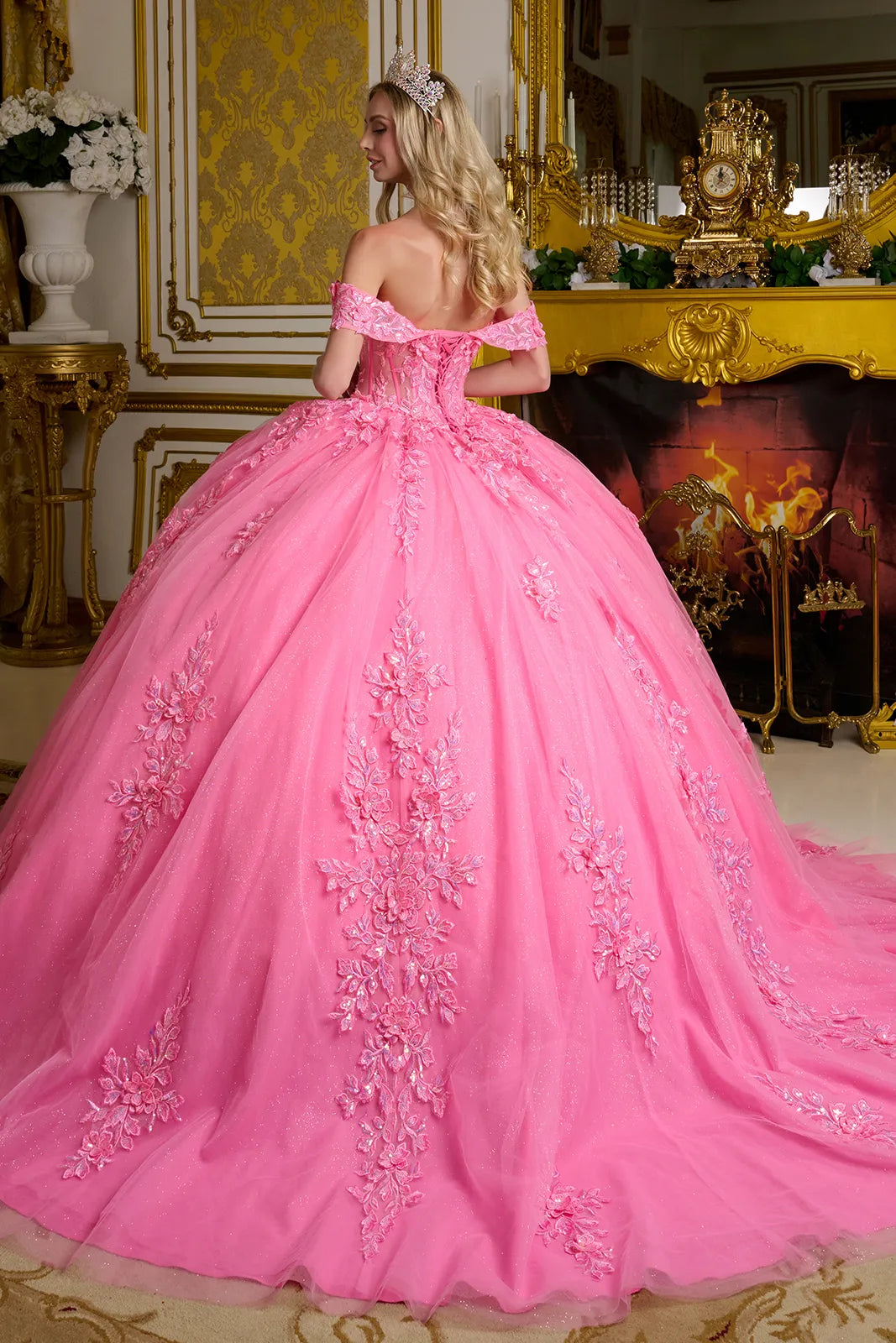 Elizabeth K GL3635 - Flower Appliqued Sheer Corset Ballgown Quinceanera Dresses