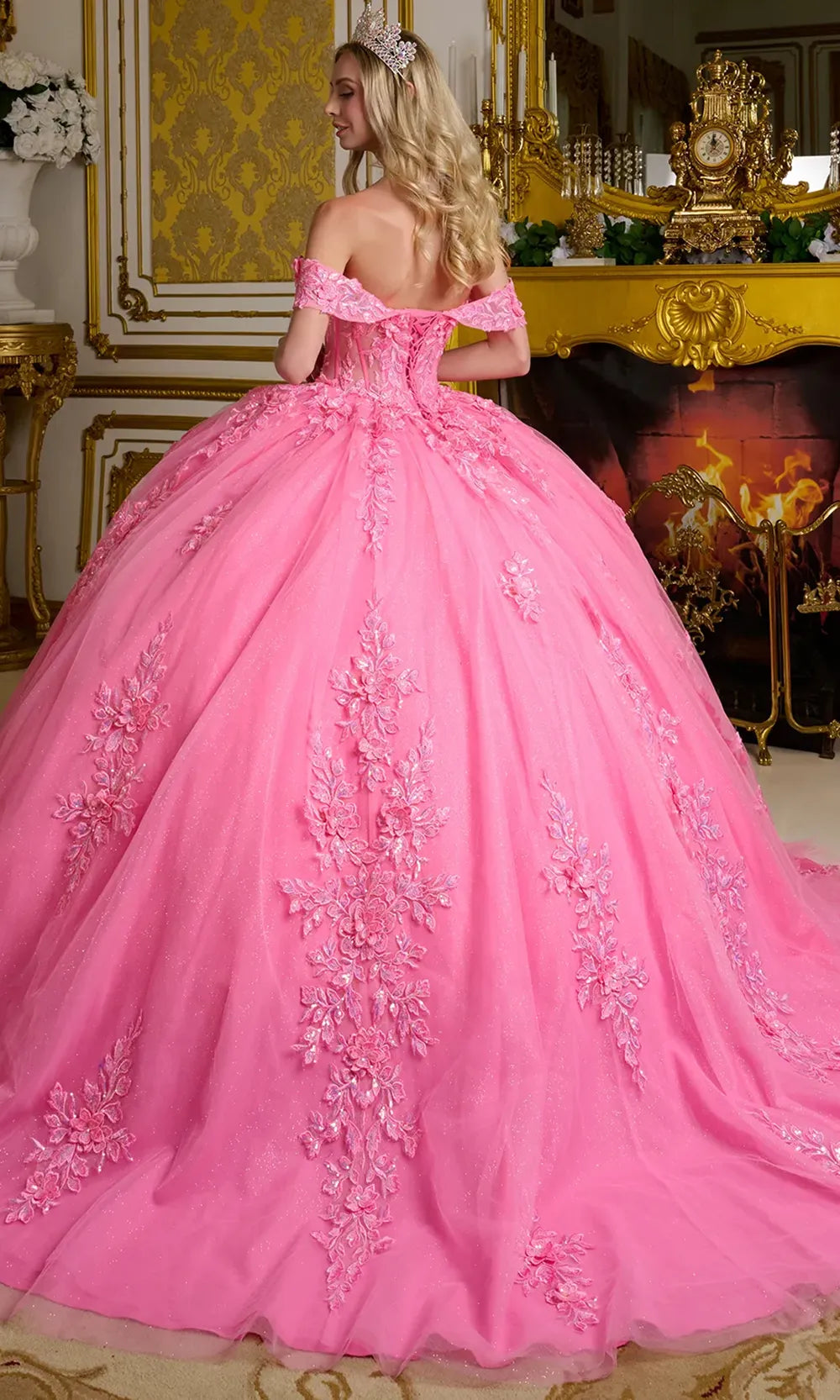 Elizabeth K GL3635 - Flower Appliqued Sheer Corset Ballgown Quinceanera Dresses