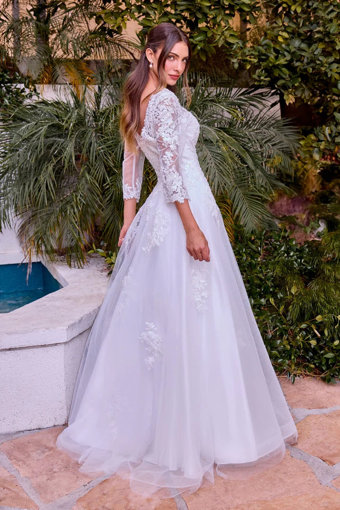 Ladivine Bridal J883W - Bateau Neck Lace Appliqued Gown