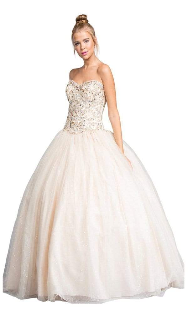 Jeweled Strapless Sweetheart Evening Ballgown Dress