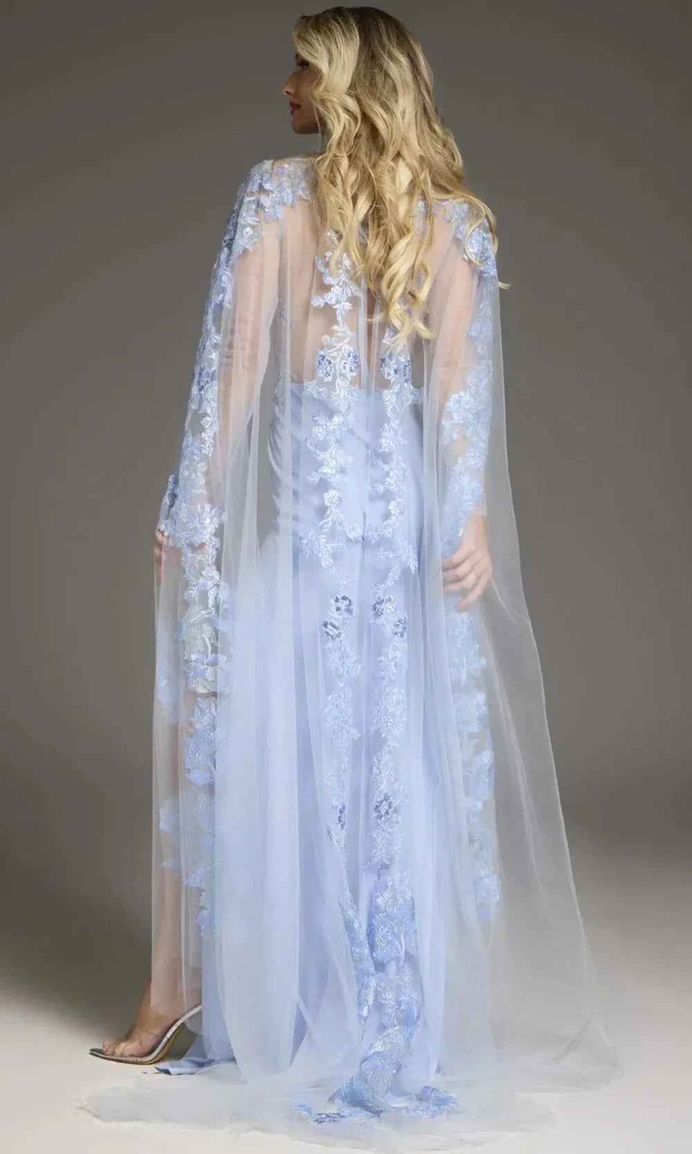 Jovani 07399 - Sheer Sleeve Embroidered Gown with Train Evening Dresses