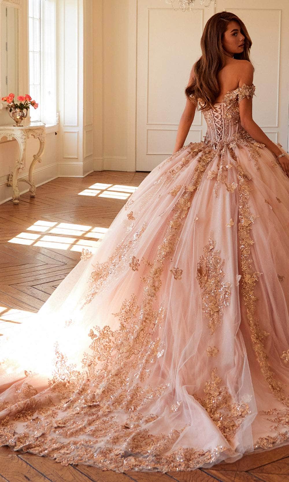 Juliet Dresses 1485J - Elegant Tulle Ball Gown with Butterfly Details Quinceanera Dresses