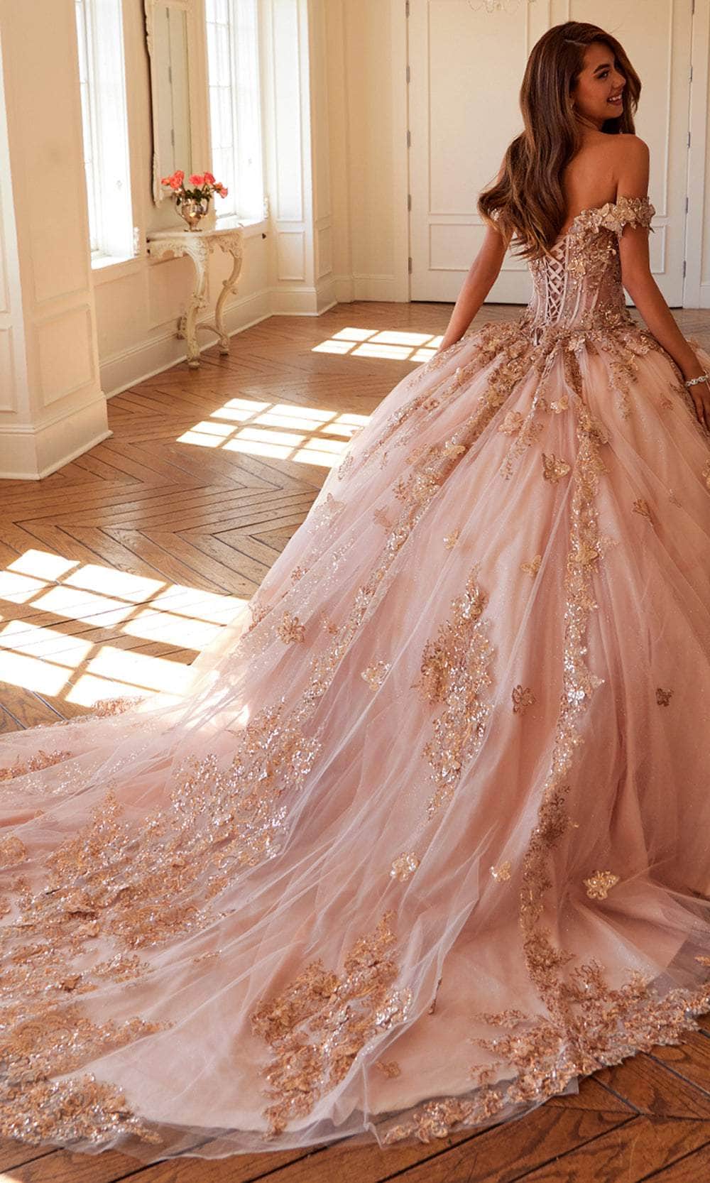 Juliet Dresses 1485J - Elegant Tulle Ball Gown with Butterfly Details Quinceanera Dresses