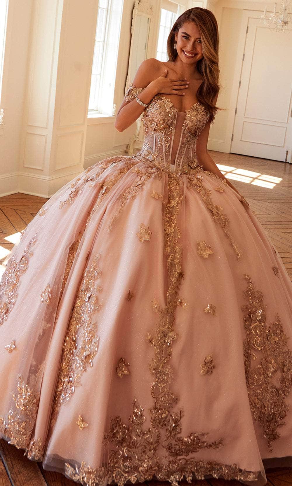 Juliet Dresses 1485J - Elegant Tulle Ball Gown with Butterfly Details Quinceanera Dresses