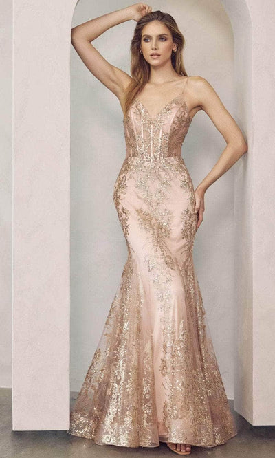 Juliet Dresses 274 - Illusion Corset Mermaid Prom Gown Prom Dresses XS / Rose Gold