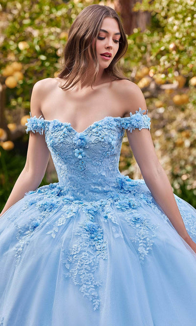 Cinderella Divine 15702 - Floral Applique Ballgown Evening Dresses