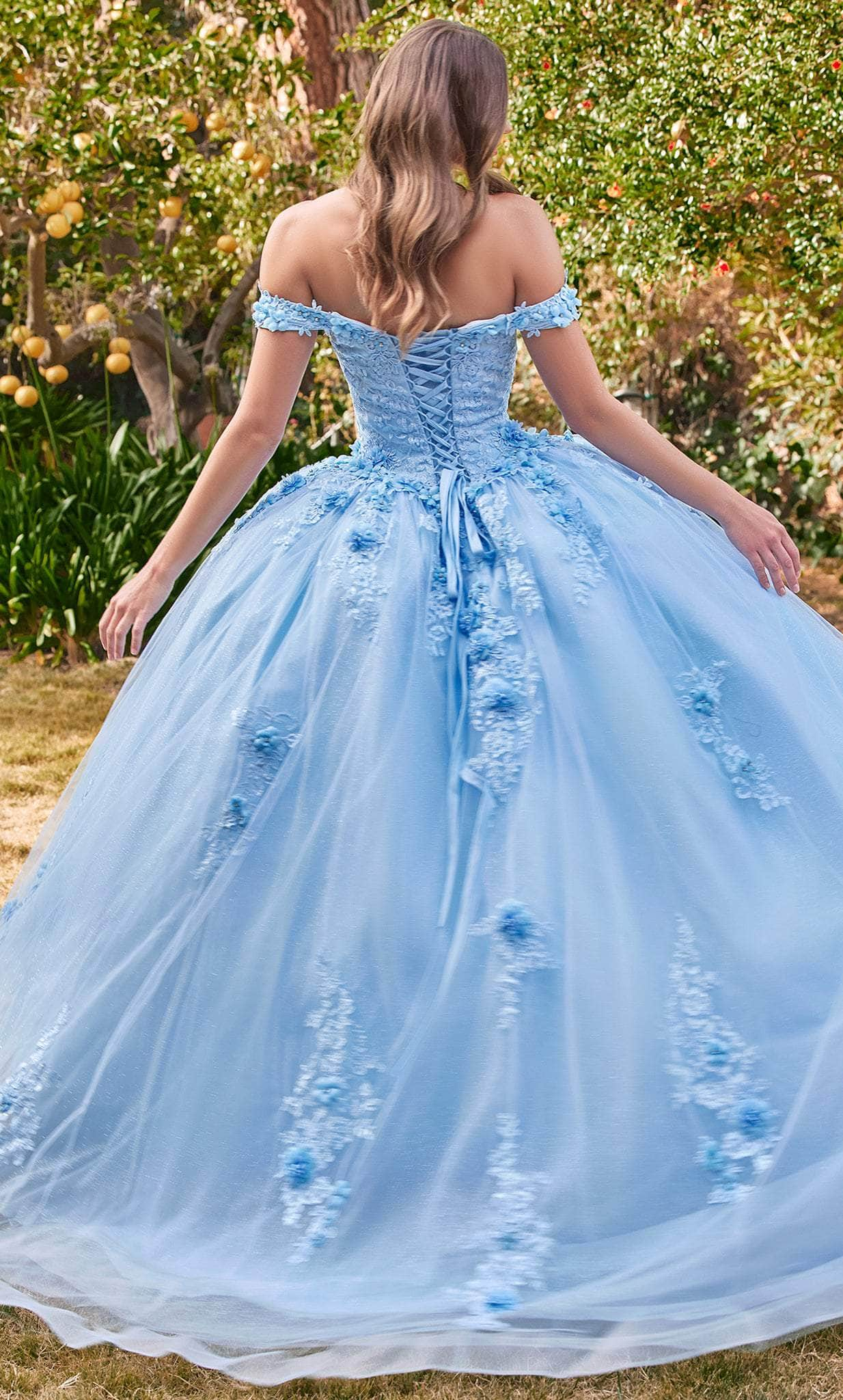 Cinderella Divine 15702 - Floral Applique Ballgown Evening Dresses