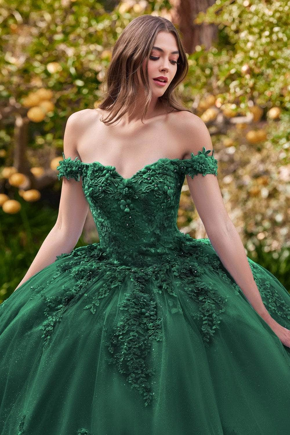 Cinderella Divine 15702 - Floral Applique Ballgown Evening Dresses XS / Emerald