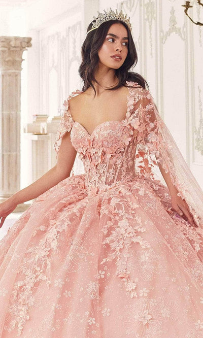 Cinderella Divine 15719 - Applique Ornate Ballgown Special Occasion Dress