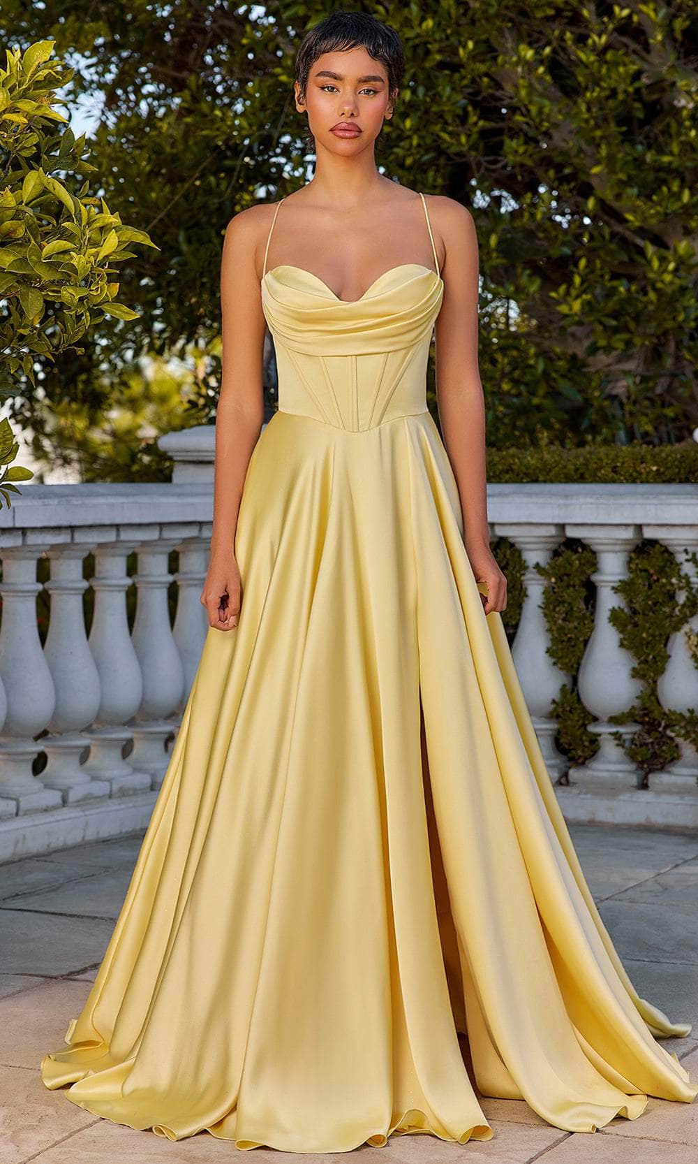 Ladivine 7481 - Draped A-Line Evening Dress Evening Dresses